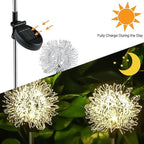 2-Pack Solar Dandelion Garden Lights
