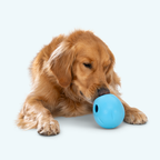 West Paw Rumbl Treat-Dispensing Puzzle Dog Toy