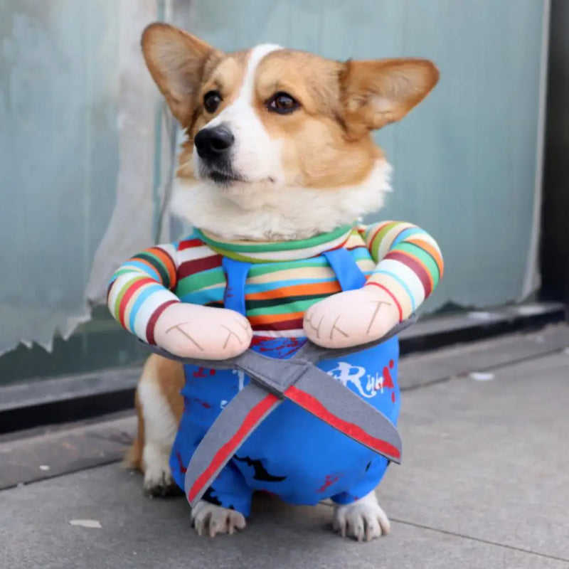 Funny Scissor-Hands Halloween Pet Costume